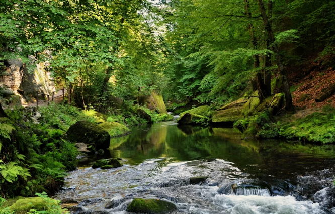Day trip to Bohemian Saxon Switzerland from Prague - Image 3